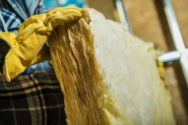 Best Best Insulation Companies  in Incline Village, NV